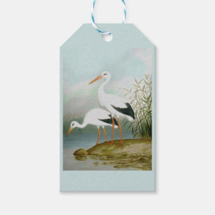 Vit stork, fågelillustrationer presentetikett