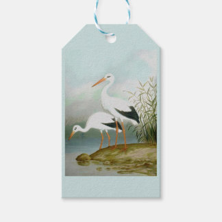 Vit stork, fågelillustrationer presentetikett