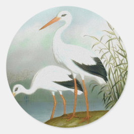 Vit stork, fågelillustrationer runt klistermärke
