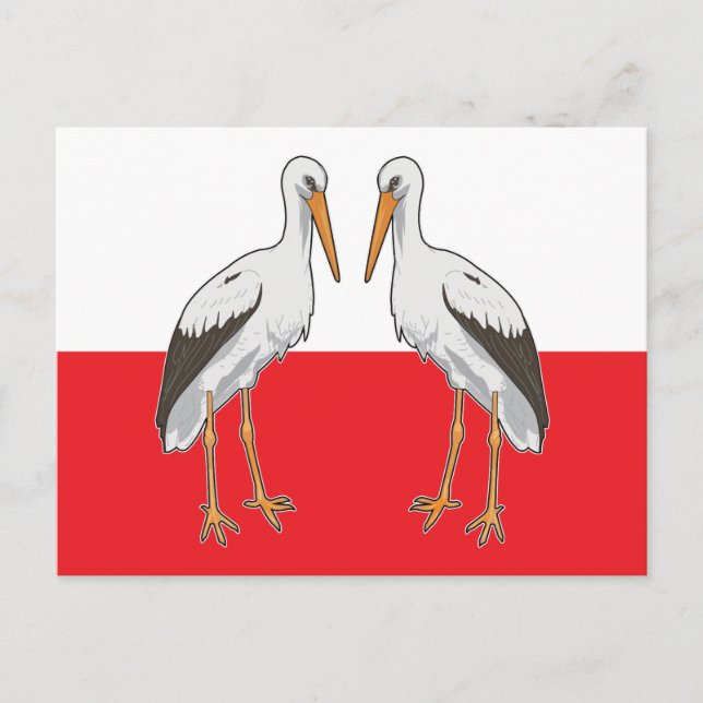 Vit stork från Polen Vykort (Framsida)