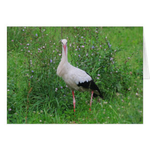 Vit stork hälsningskort