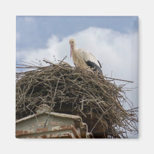 vit stork i bo magnet