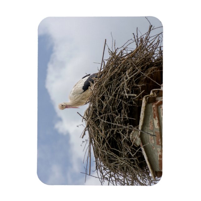 vit stork i bo magnet (Vertikal)