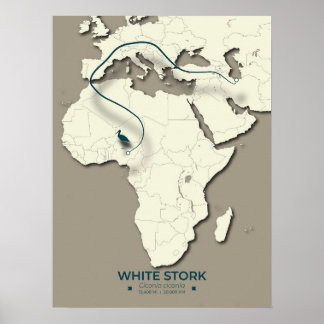 Vit stork Migration Karta - minimalistisk Vintage Poster