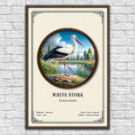 Vit Stork Zoologi Serie Poster