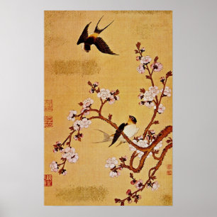 vit sväljer och blommargrenar, Chiang T'in Poster