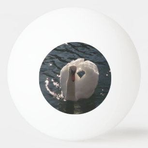 Vit svan pingisboll