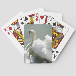 Vit svan spel kort