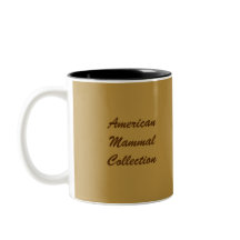 Vit-Svanen hjort skuggar