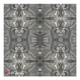 Vit svart Abstrakt, stammask 4 Fototryck