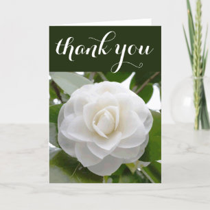 Vit Tack för Bran Watercolor Blommigt Camellia Kort