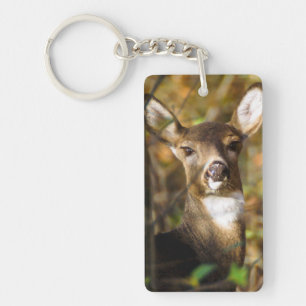 Vit-Tailed hjort Keychain Nyckelring