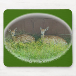 Vit-Tailed hjort lismar Mousepad Musmatta