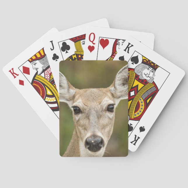 Vit Tails-Hjort Spel Kort (Baksidan)