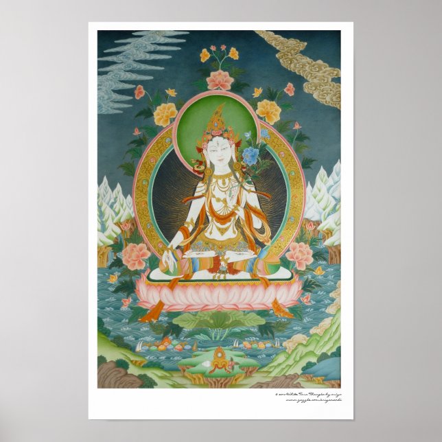 Vit Tara-affisch Poster (Framsidan)