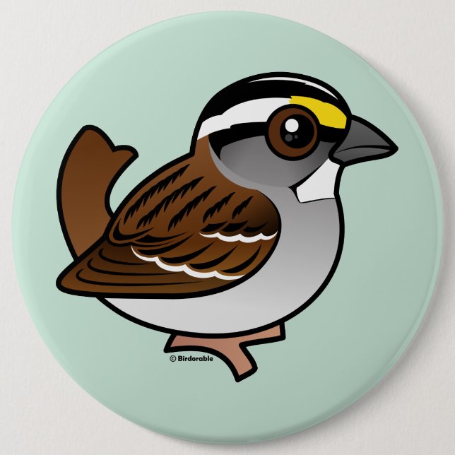 Vit-throated Sparrow Knapp (Framsida)