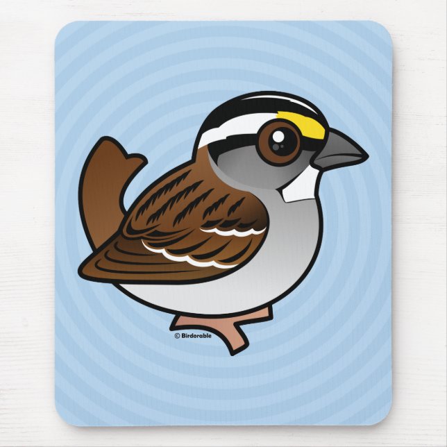 Vit-throated Sparrow Musmatta (Framsidan)