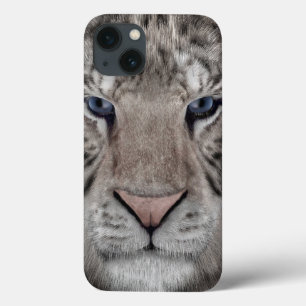 Vit Tiger