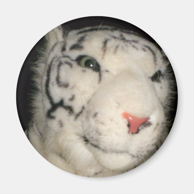 Vit tiger 1 Magnet (Framsidan)