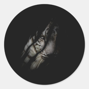 Vit Tiger Ansikte Torn Klo Vild Safari Djurkatt Runt Klistermärke