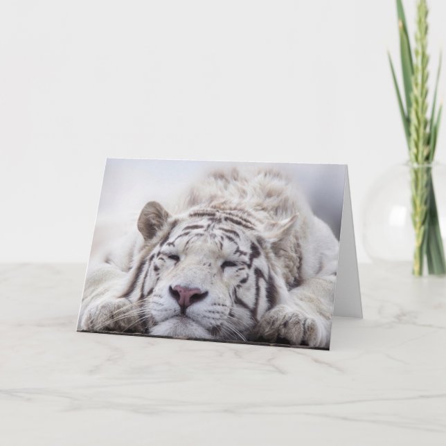 VIT TIGER AVOIDER FÖDELSEDAGSKORT KORT (Framsida)