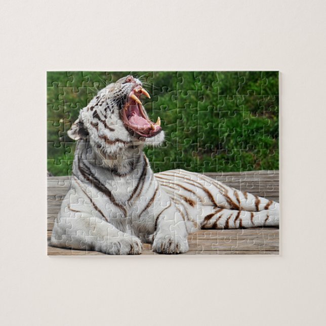 Vit Tiger, Bengal Tiger Pussel (Horisontell)