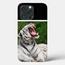 Vit Tiger, Bengalisk Tiger