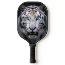 Vit Tiger Blå Ögon