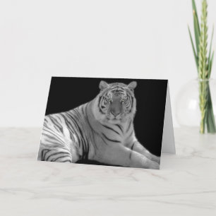 Vit tiger födelsedag kort
