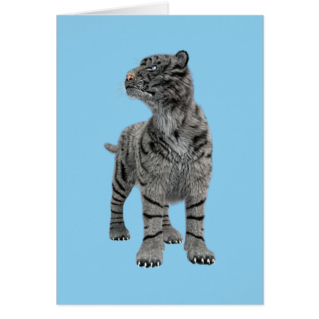 Vit tiger hälsningskort (Framsidan)