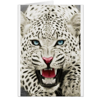 vit tiger hälsningskort