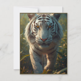 Vit tiger julkort