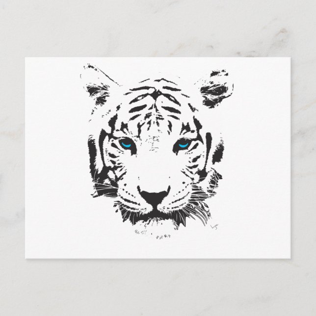 Vit Tiger med Blå Ögon Vykort (Framsida)