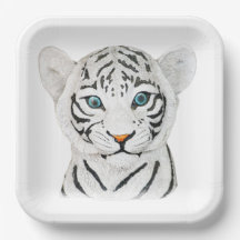 Vit tiger med ljus Öga