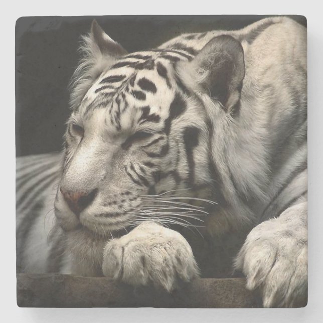 Vit Tiger Stenunderlägg (Framsidan)