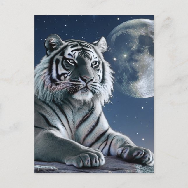 Vit tiger vykort (Framsida)