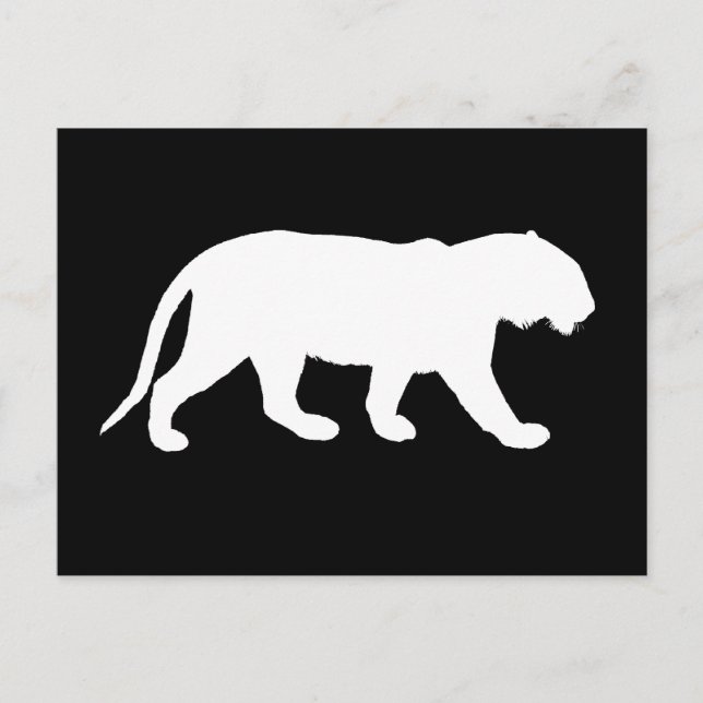 Vit Tiger Vykort (Framsida)