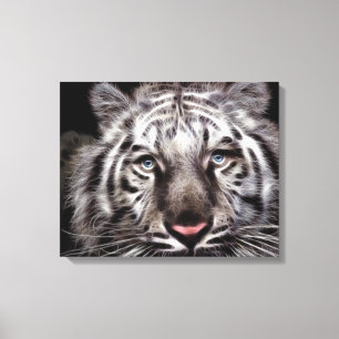 Vit tiger Wrapped Canvas
