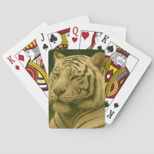 Vit tigerfixering i trädskugga casinokort