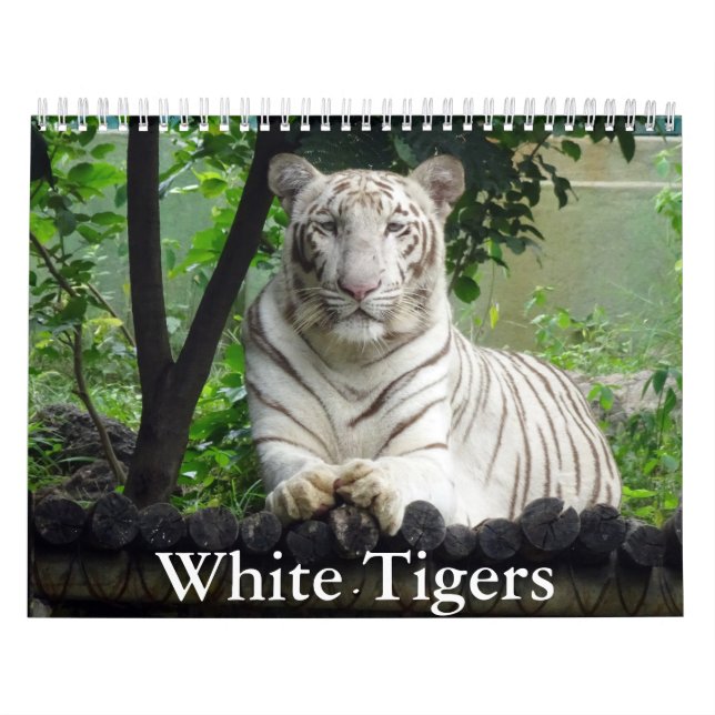 Vit tigerkalender kalender (Omslag)