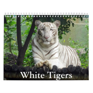 Vit tigerkalender kalender