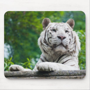Vit tigermunspets musmatta