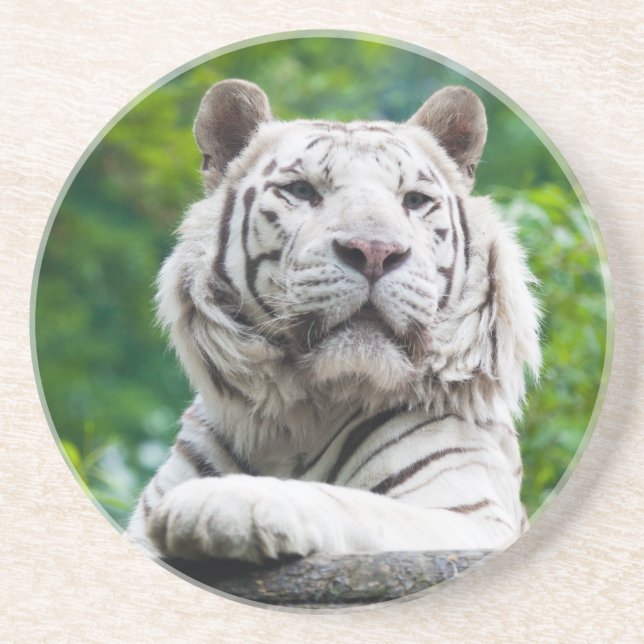 Vit tigerunderlägg underlägg (Framsidan)