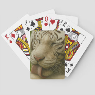 Vit tiggare i privat Grooming Ritual Casinokort