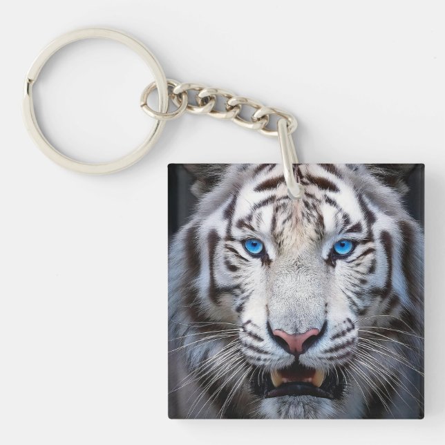 Vit tiggare med blå Öga (Framsidan)