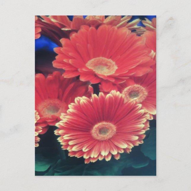 Vit tippad blomma vykort (Framsida)