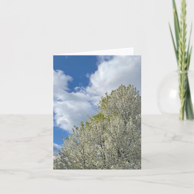 Vit Träd Blå Himmel Moln Foto Anteckningskort (Framsida)