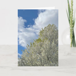 Vit Träd Blå Himmel Moln Foto Kort