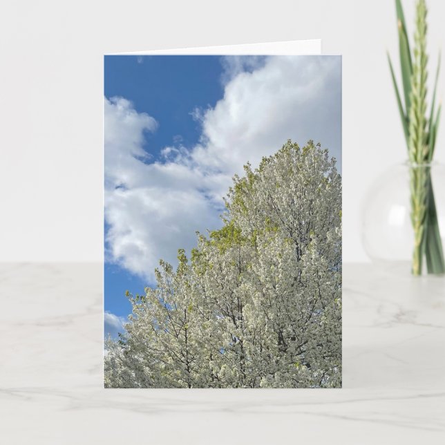 Vit Träd Blå Himmel Moln Foto Kort (Framsida)