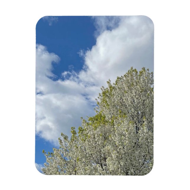 Vit Träd Blå Himmel Moln Foto Magnet (Vertikal)